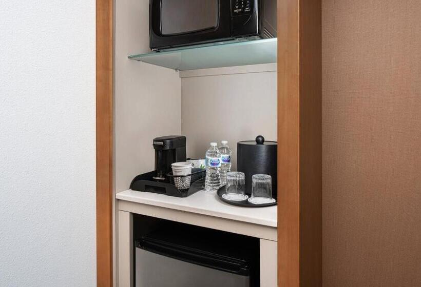 스탠다드 스튜디오 킹침대, Springhill Suites By Marriott Midland Odessa