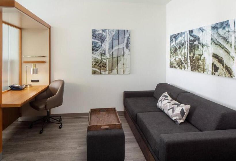 스탠다드 스튜디오, Springhill Suites By Marriott Midland Odessa