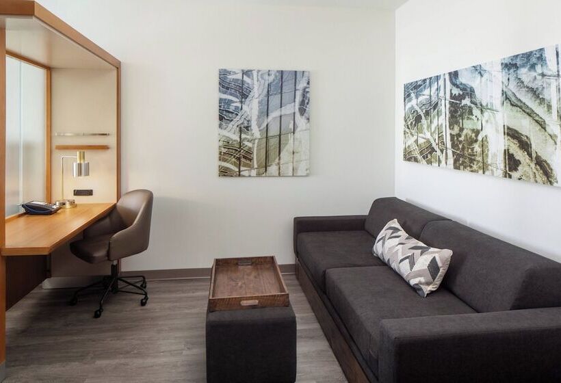 スタンダードスタジオ, Springhill Suites By Marriott Midland Odessa