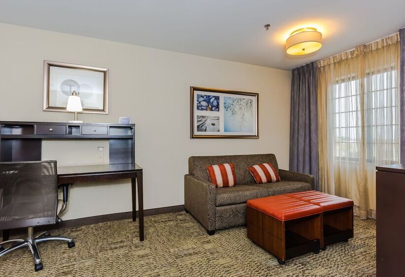带大床的套房, Staybridge Suites Grand Forks, An Ihg