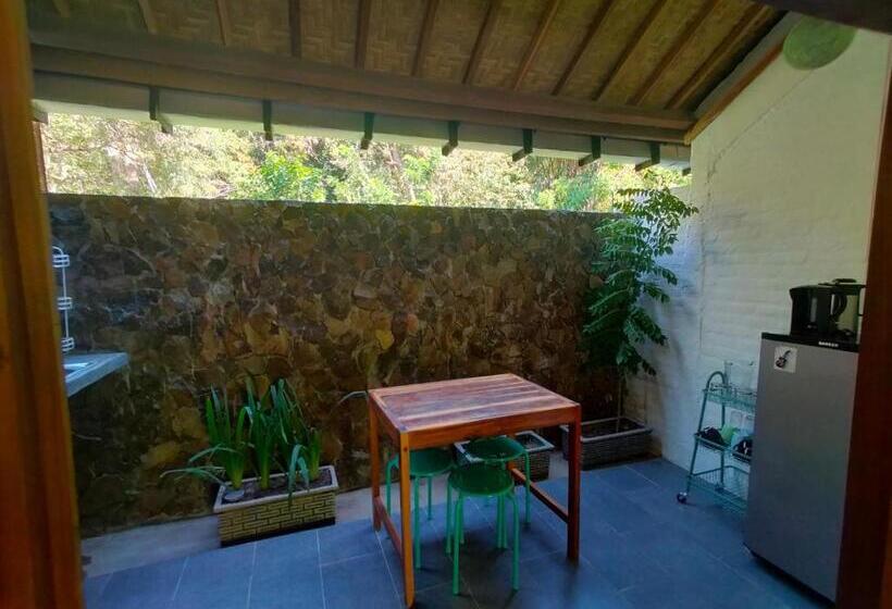 סטודיו סטנדרטי נוף לגינה, Pool House Studios