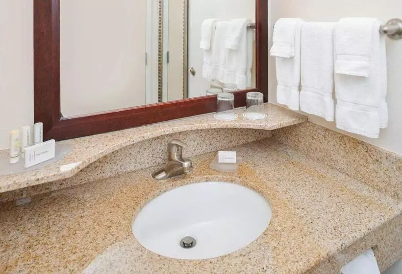 キングサイズベッドのスイートルーム, Springhill Suites By Marriott Lancaster Palmdale