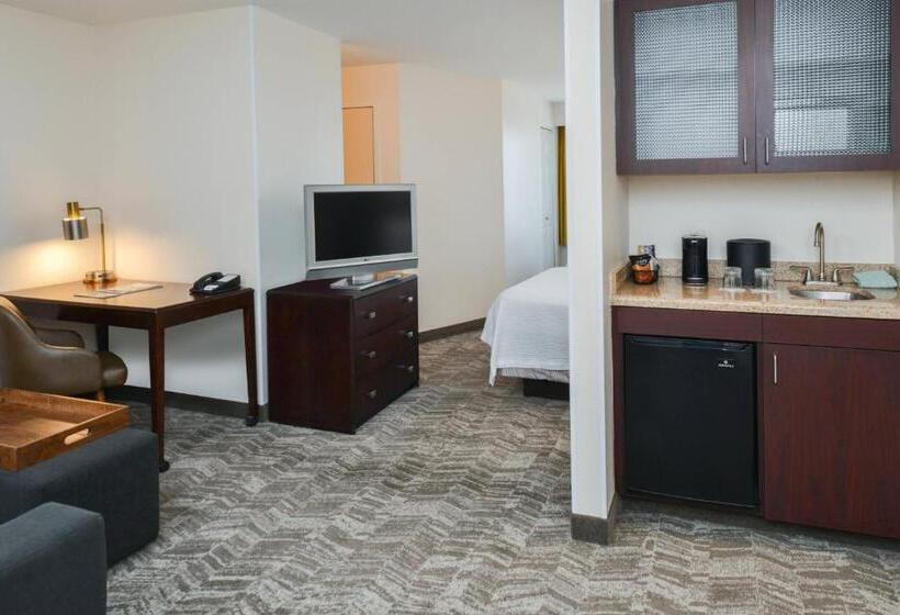 Люкс, Springhill Suites By Marriott Lancaster Palmdale