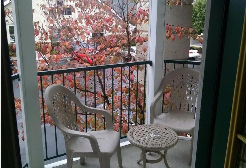 إستوديو قياسى, Palace View Resort By Spinnaker