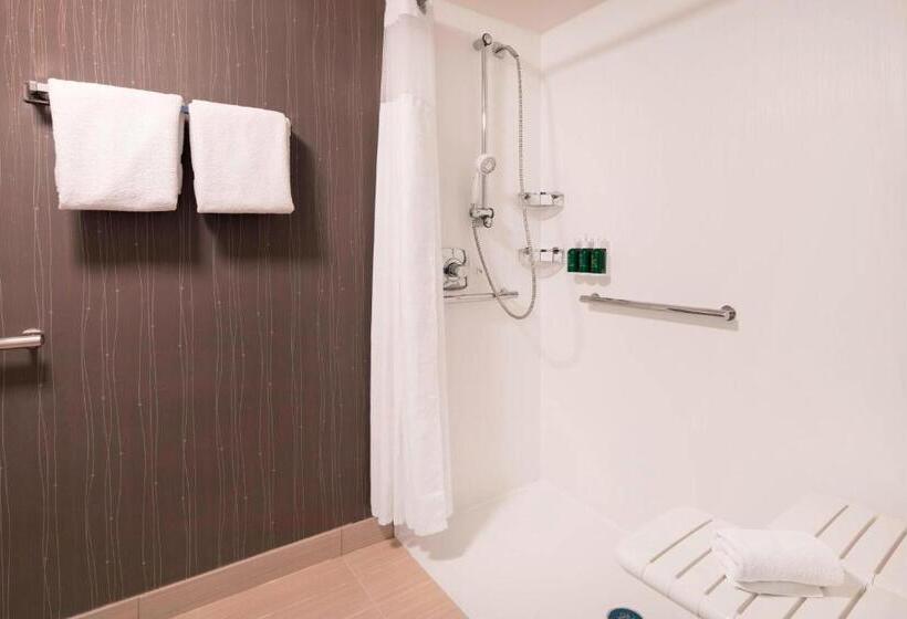 חדר אקזקיוטיב חדר קינג, Courtyard By Marriott Denver Airport