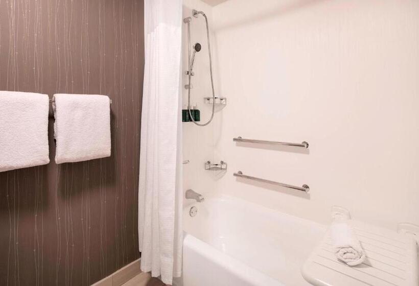 חדר אקזקיוטיב חדר קינג, Courtyard By Marriott Denver Airport