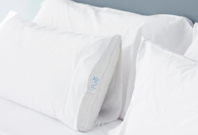 חדר סטנדרט, Courtyard By Marriott Denver Airport