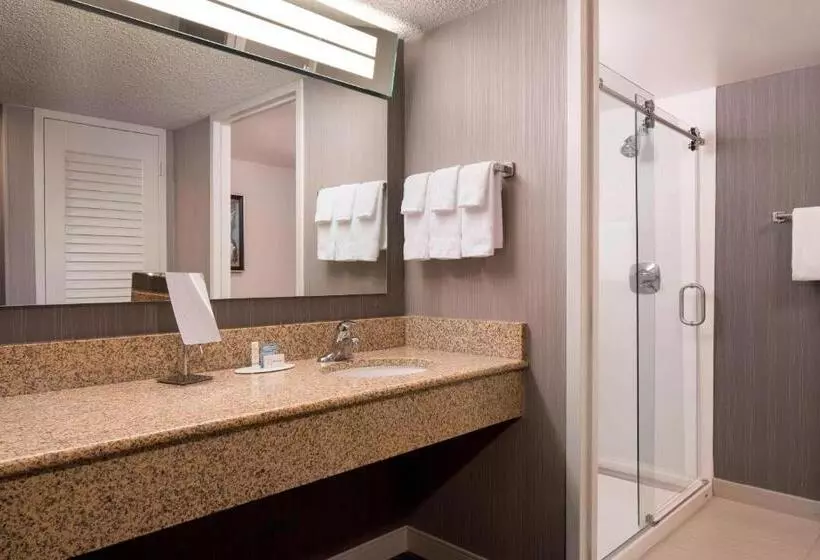 キングサイズベッドのスイートルーム, Courtyard By Marriott Denver Airport