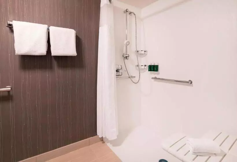 身障者適用キングサイズベッドルーム, Courtyard By Marriott Denver Airport