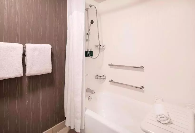 身障者適用キングサイズベッドルーム, Courtyard By Marriott Denver Airport