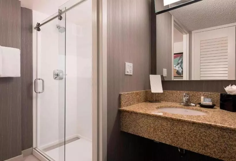 身障者適用キングサイズベッドルーム, Courtyard By Marriott Denver Airport
