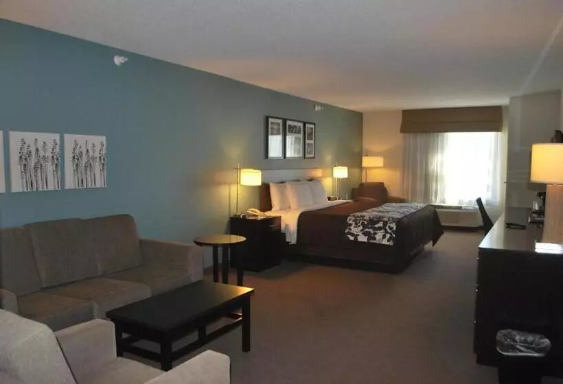 キングサイズベッドのスタンダードルーム, Sleep Inn & Suites Clintwood