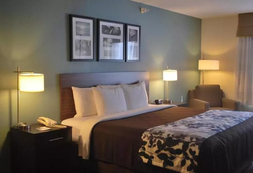 キングサイズベッドのスタンダードルーム, Sleep Inn & Suites Clintwood