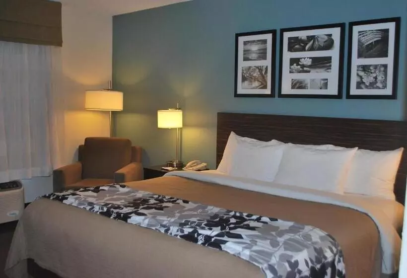 キングサイズベッドのスタンダードルーム, Sleep Inn & Suites Clintwood