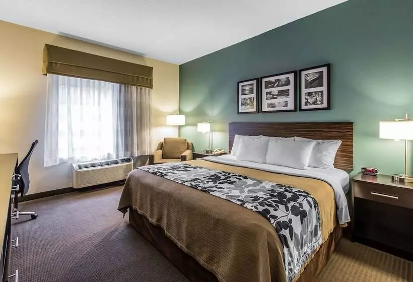 身障者適用スイートルーム, Sleep Inn & Suites Clintwood