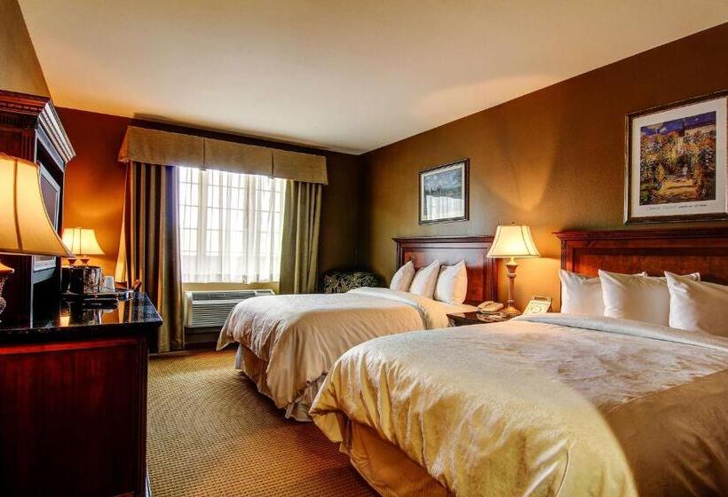 스탠다드 룸, The Wildwood