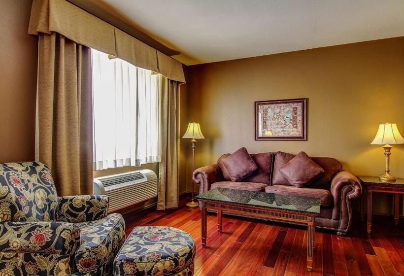 스탠다드 룸 킹사이즈 침대, The Wildwood