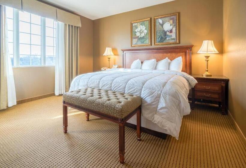 스탠다드 룸 킹사이즈 침대, The Wildwood