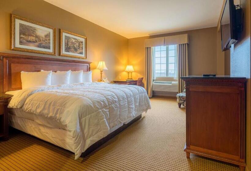 디럭스 스위트 킹 침대, The Wildwood