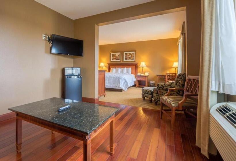 디럭스 스위트 킹 침대, The Wildwood