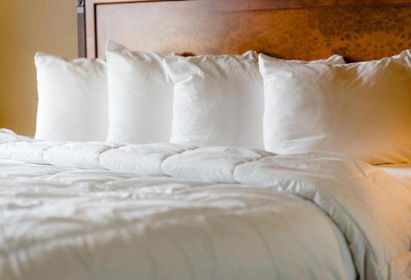 장애인을 위한 스탠다드 룸, The Wildwood