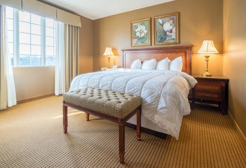 이그제큐티브 스위트, The Wildwood