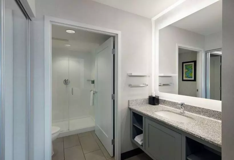 スイート, Residence Inn By Marriott Boston Back Bay/fenway