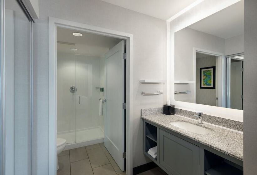 Студия Стандарт Двуспальная Кровать, Residence Inn By Marriott Boston Back Bay/fenway