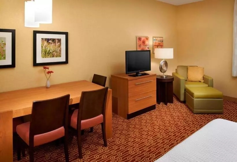 スタンダードスタジオ, Towneplace Suites By Marriott Saginaw