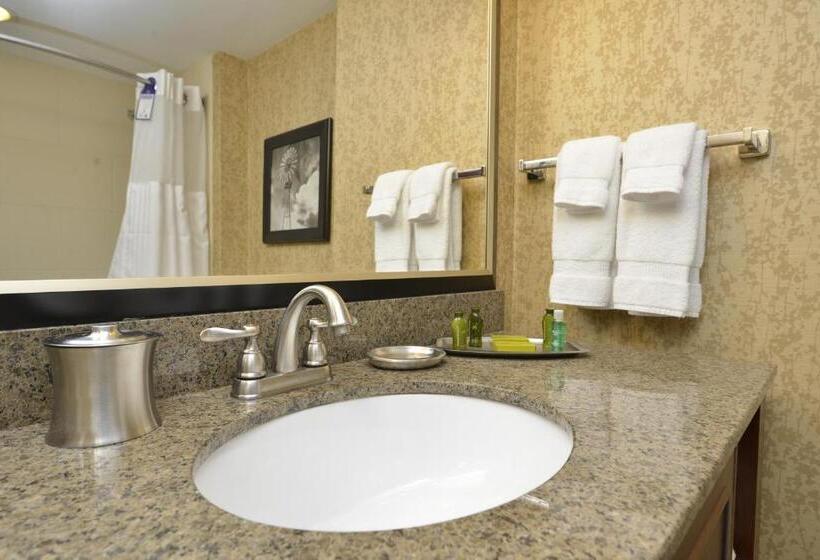 غرفة قياسية مطلة على المدينة, Oshkosh Marriott Waterfront Hotel & Convention Center