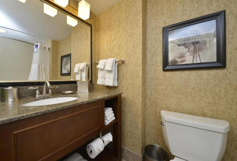 Люкс Executive Кровать Кинг, Oshkosh Marriott Waterfront Hotel & Convention Center