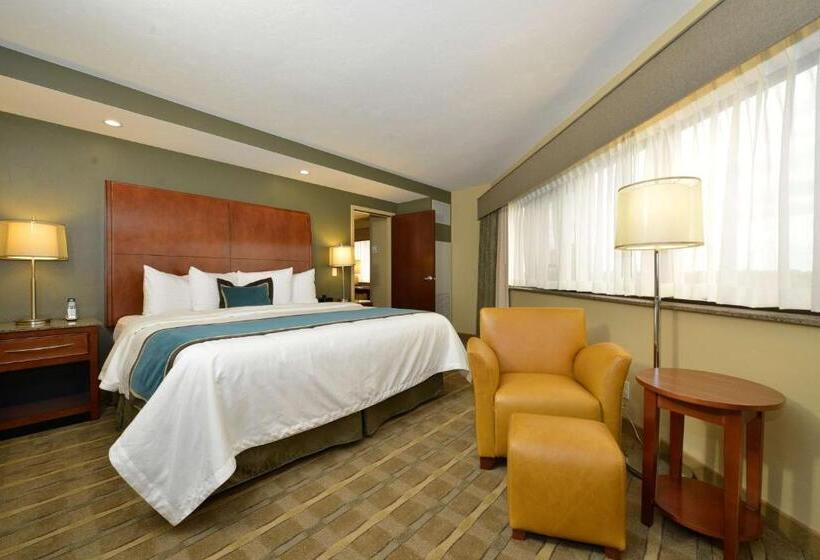 Номер Стандарт Кровать Кинг Адаптированный для Инвалидов, Oshkosh Marriott Waterfront Hotel & Convention Center