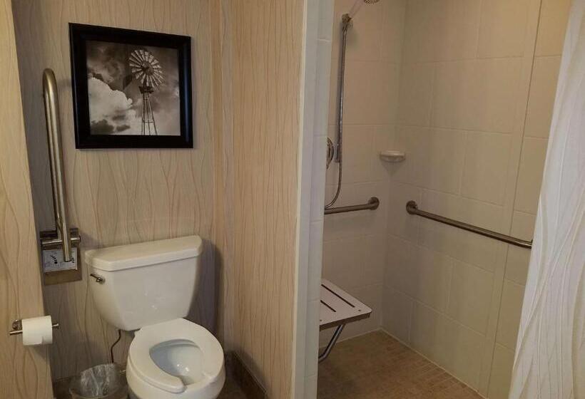 غرفة قياسية, Oshkosh Marriott Waterfront Hotel & Convention Center