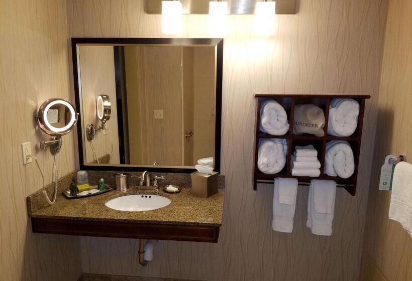 غرفة قياسية لذوى الاحتياجات الخاصة, Oshkosh Marriott Waterfront Hotel & Convention Center