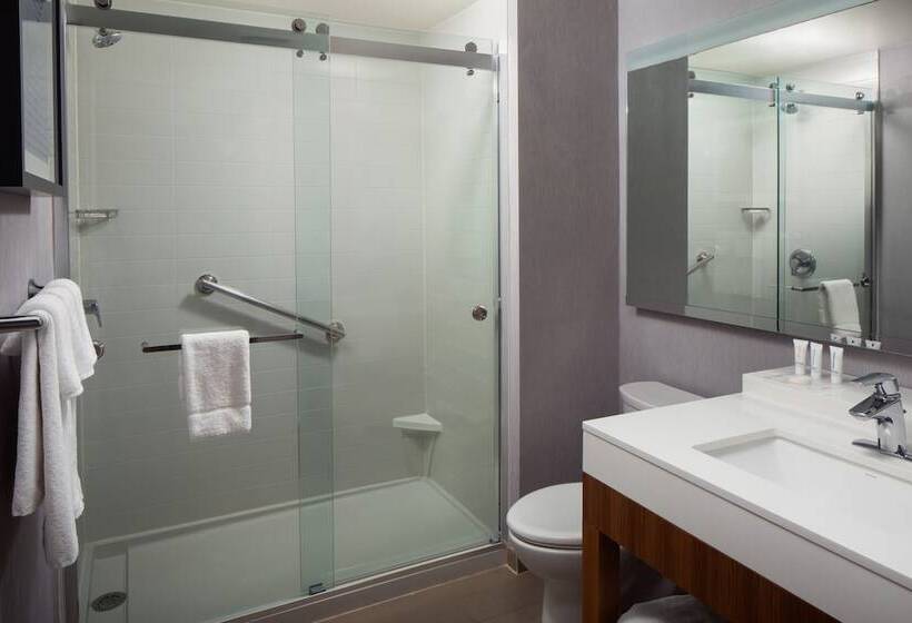 Номер Стандарт Верхний Этаж, Hyatt Place Nashville Downtown