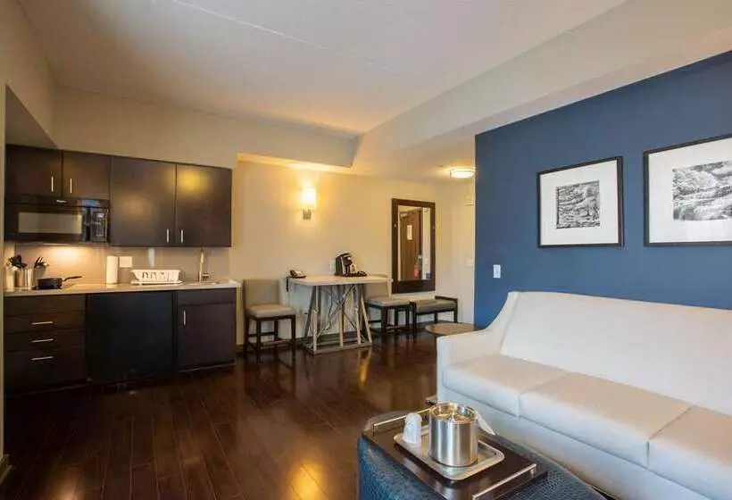 スイート, The Mosey Buffalo Williamsville, Tapestry Collection By Hilton
