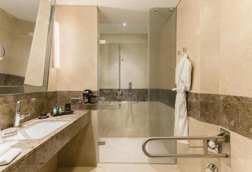 身障者適用スタンダードルーム, Wyndham Grand Istanbul Europe