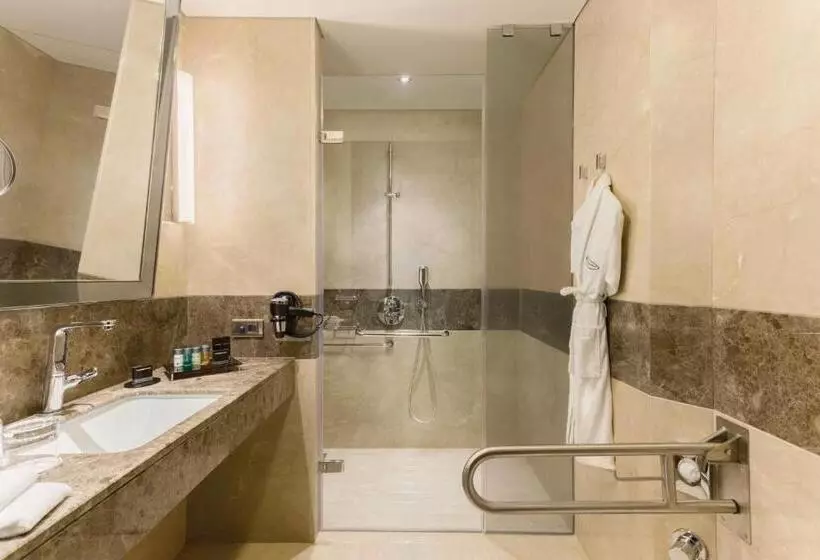 身障者適用スタンダードルーム, Wyndham Grand Istanbul Europe