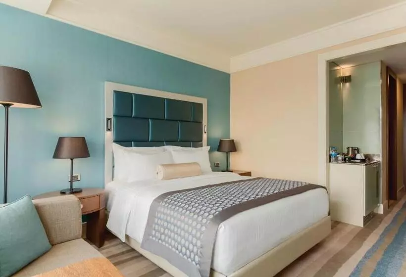 身障者適用スタンダードルーム, Wyndham Grand Istanbul Europe