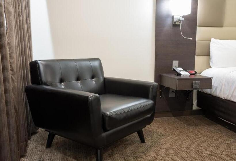 غرفة ديلوكس سرير كينج, Xilo Glendale