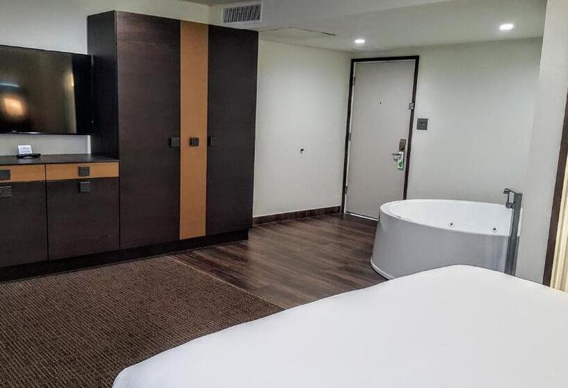 جناح مطلّ علي حمام السباحة, Xilo Glendale