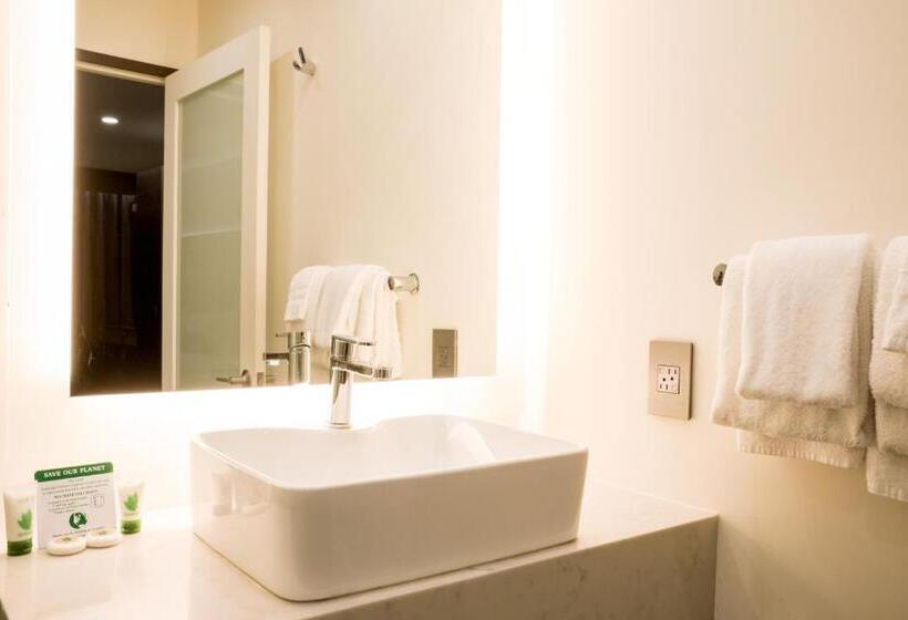 جناح مطلّ علي حمام السباحة, Xilo Glendale