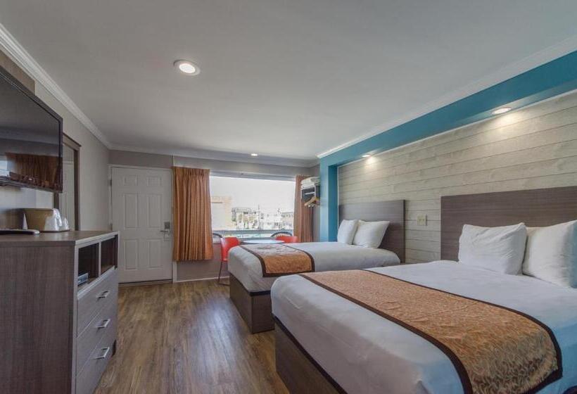 Номер Стандарт 2 Двуспальные Кровати, Dolphin Inn
