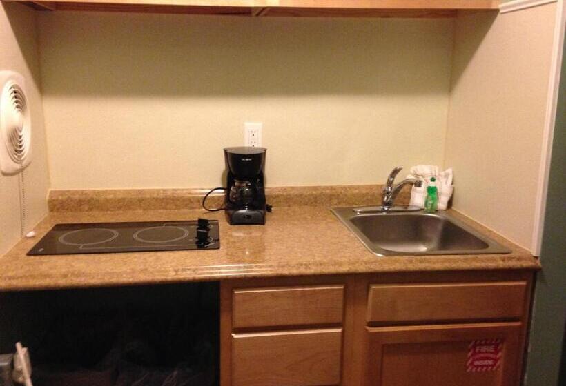 스탠다드 룸 킹사이즈 침대, Dolphin Inn