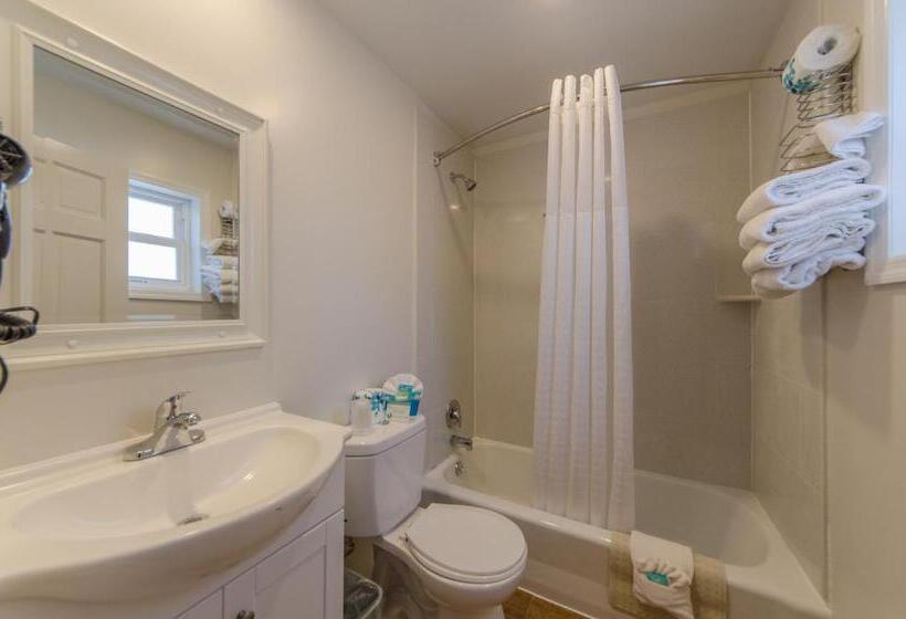 스탠다드 룸 킹사이즈 침대, Dolphin Inn