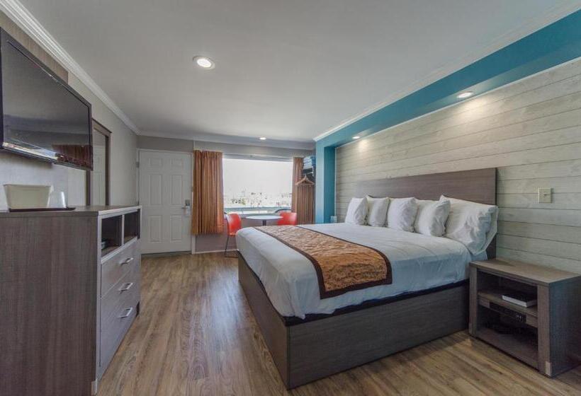 스탠다드 룸 킹사이즈 침대, Dolphin Inn