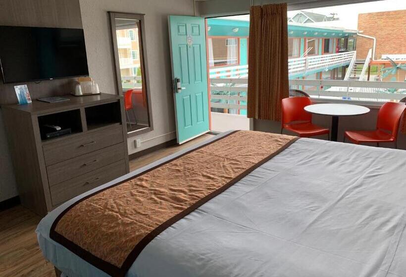 스탠다드 룸 킹사이즈 침대, Dolphin Inn