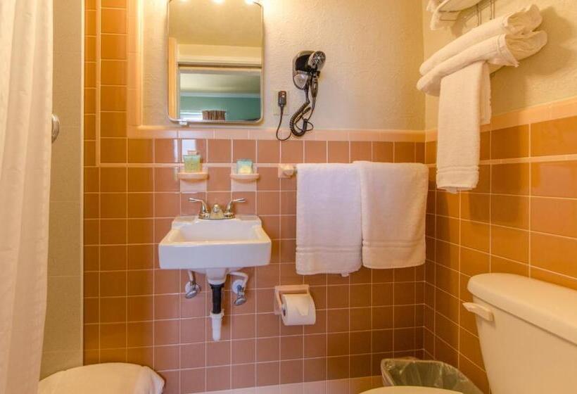 기본룸, Dolphin Inn