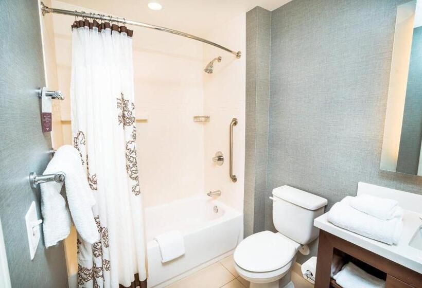 带2个卧室的套房, Residence Inn By Marriott Albany Washington Avenue