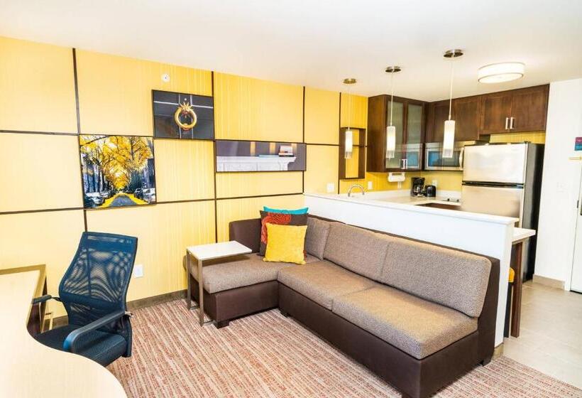 带大床的标准工作室, Residence Inn By Marriott Albany Washington Avenue